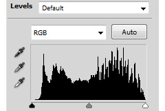 histogram levels of dark image print