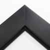 2-1/2 " deep Black Stacker